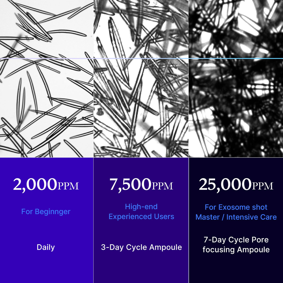 zero-exosome-shot-q8 25000_05.jpg